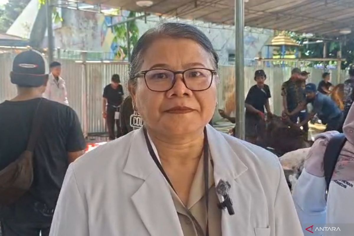 East Jakarta KPKP targets 200 sacrificial animal inspection sites during Idul Adha