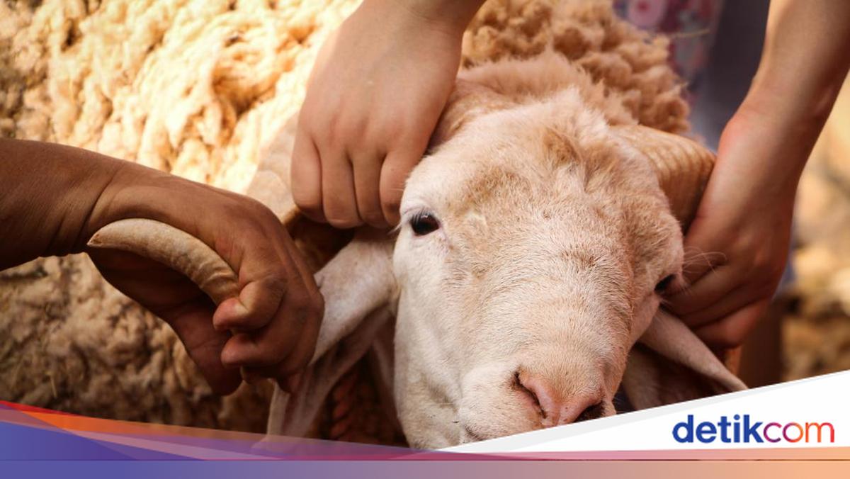 Qurban: When God’s Will Takes Precedence