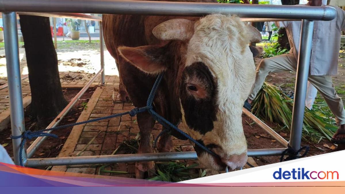Can You Eat Your Own Sacrificial Meat? Here's the Explanation