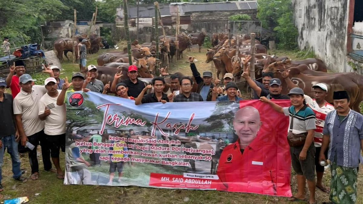 PDIP East Java Chapter Distributes 485 Sacrificial Cows to Communities and Islamic Boarding Schools
