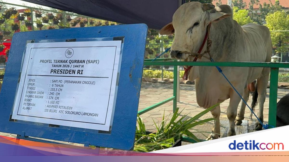 Gerindra on President's 1,098 Sacrificial Cows from State Budget: No Rules Breached
