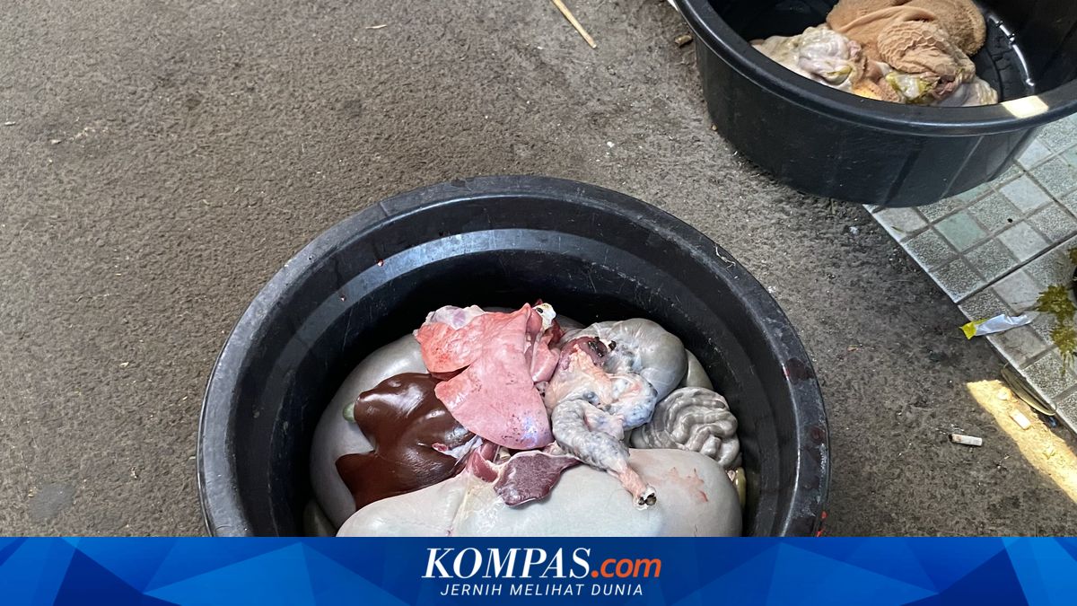 Where Does Offal from Eid al-Adha Sacrificial Animals Go? Here's the Answer