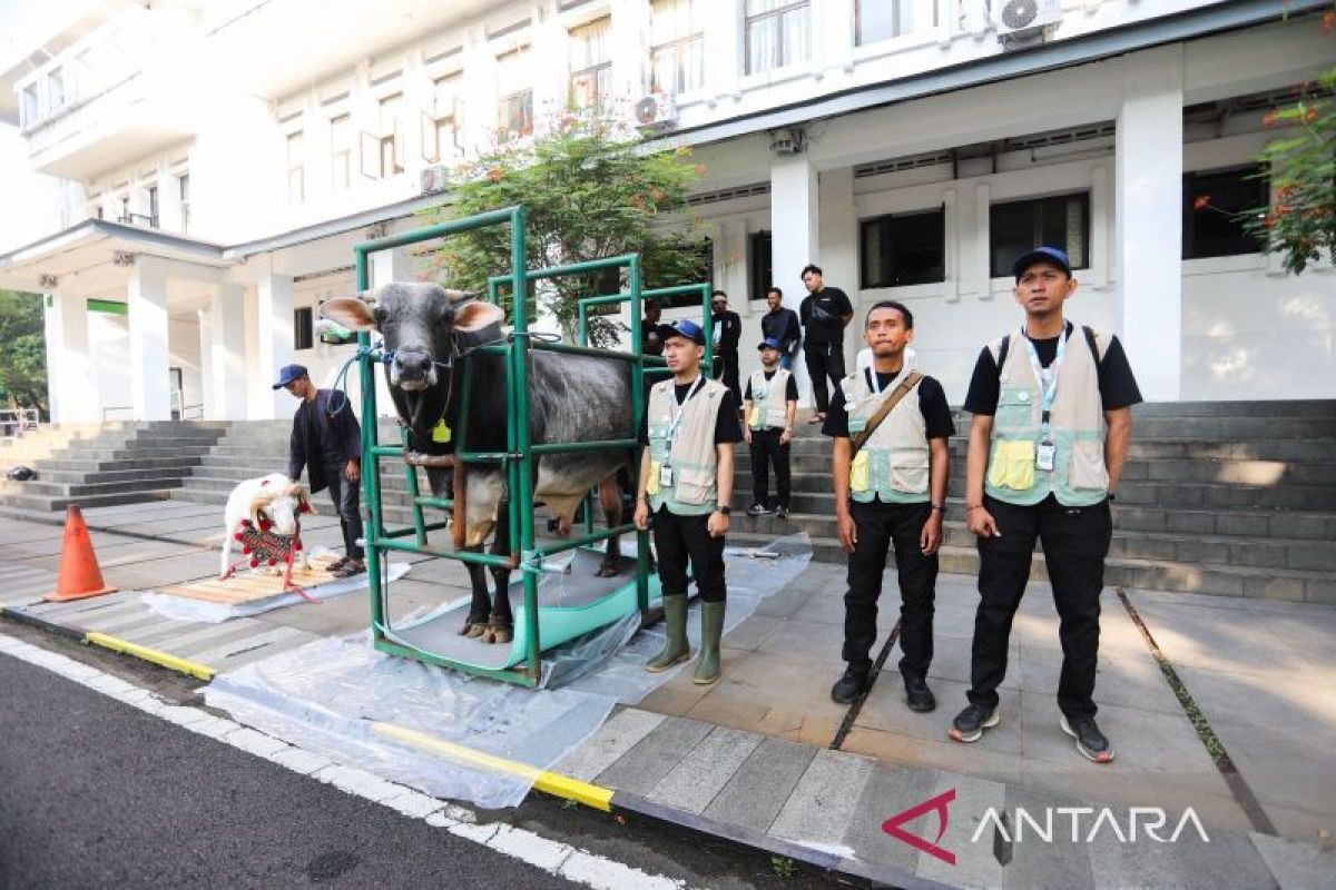 Bandung City Government Records 18,036 Sacrificial Animals for Eid al-Adha