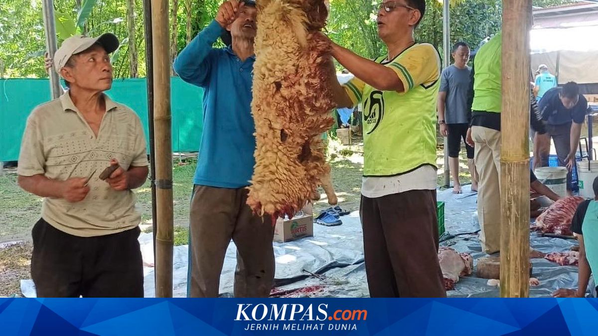 For Yudi, Sacrificial Slaughter Is Not About Money, But Worship and Togetherness