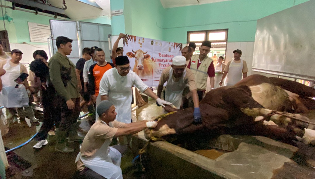 Yogyakarta Mayor Urges Hygienic Qurban Slaughter Process