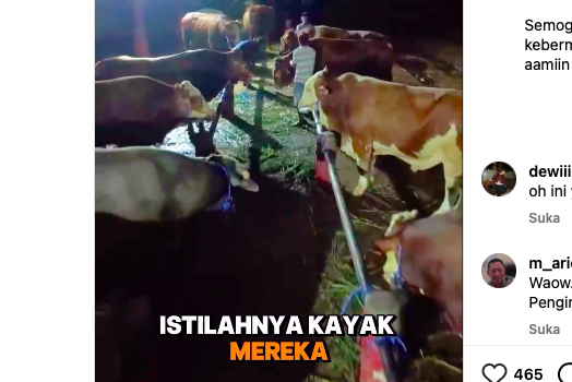 35 Mosques in Indonesia Receive Sacrificial Cows from Boyolali