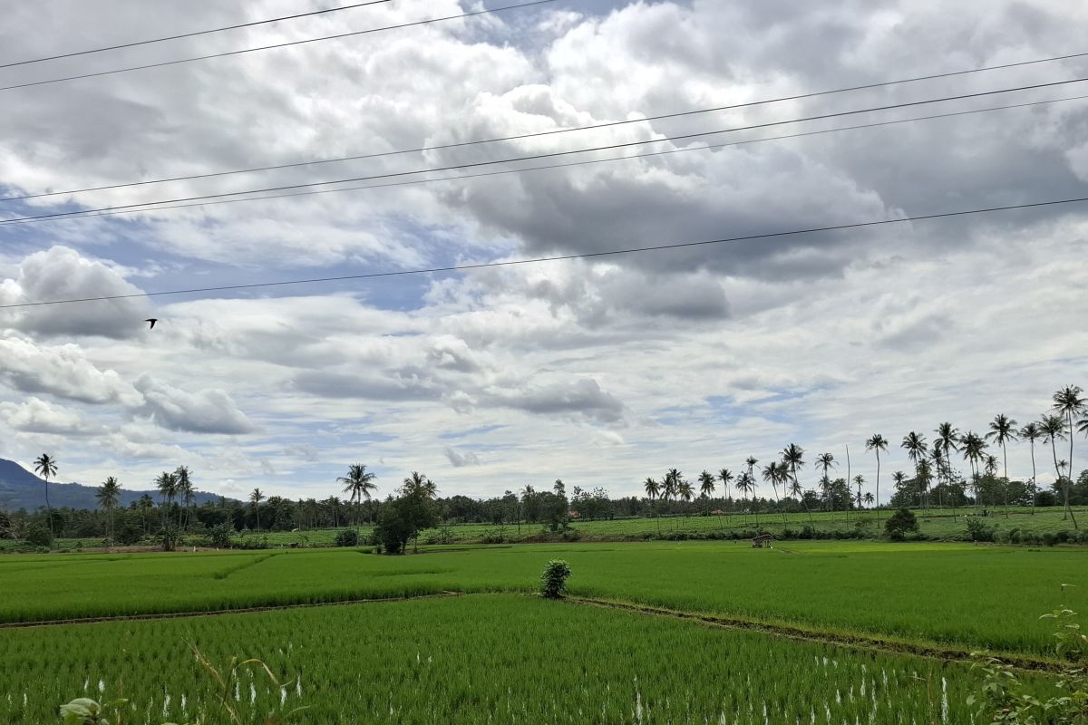 101 Main Irrigation Network Proposals for Lampung in 2026