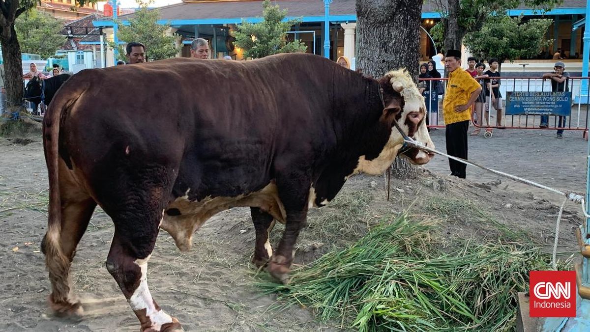 DPR on Prabowo’s State Budget-Funded Qurban Aid to Help the Public