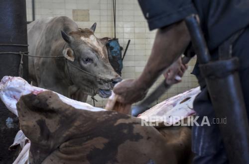 Young Islamic Scholar Explains Permissibility of Qurban Using APBN, Allowed If Conditions Met