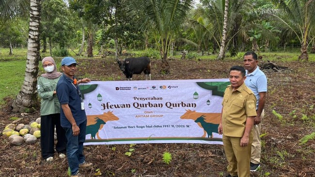 ANTAM Distributes Hundreds of Qurban Animals Across Operational Regions