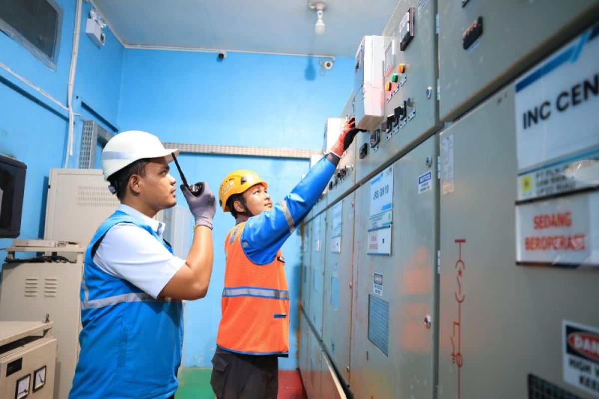 Sumatra grid upgrade seen key to power resilience: Puskepi