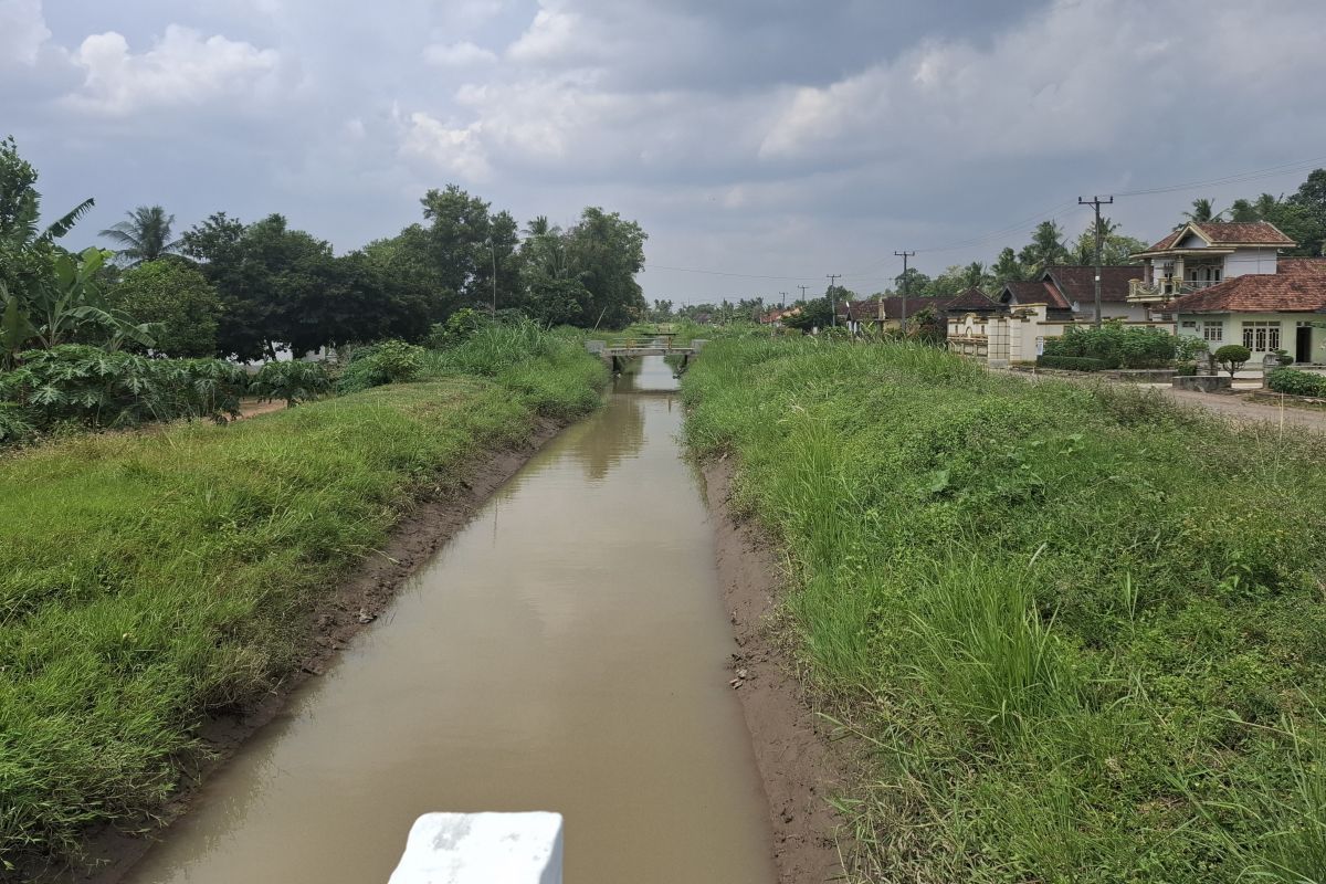 URSIP Intervention in Lampung's Way Sekampung Irrigation Area Covers 36,197 ha