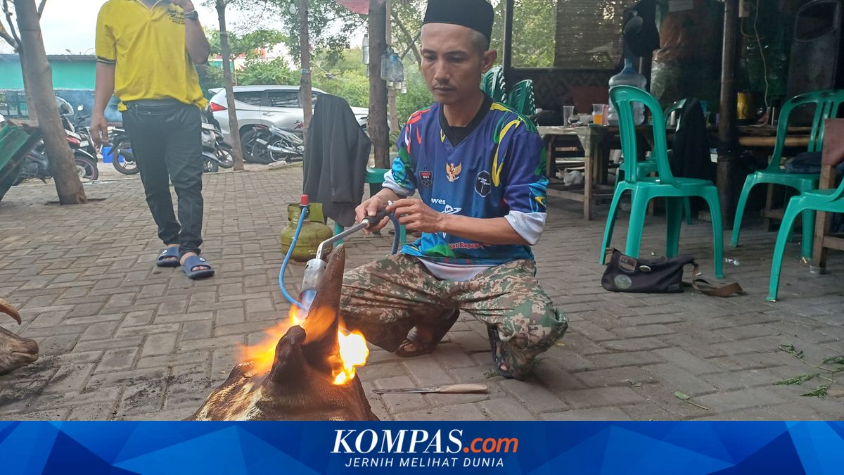Certified Qurban Slaughter Service Fees in Jakarta: Slaughtering to Meat Cutting