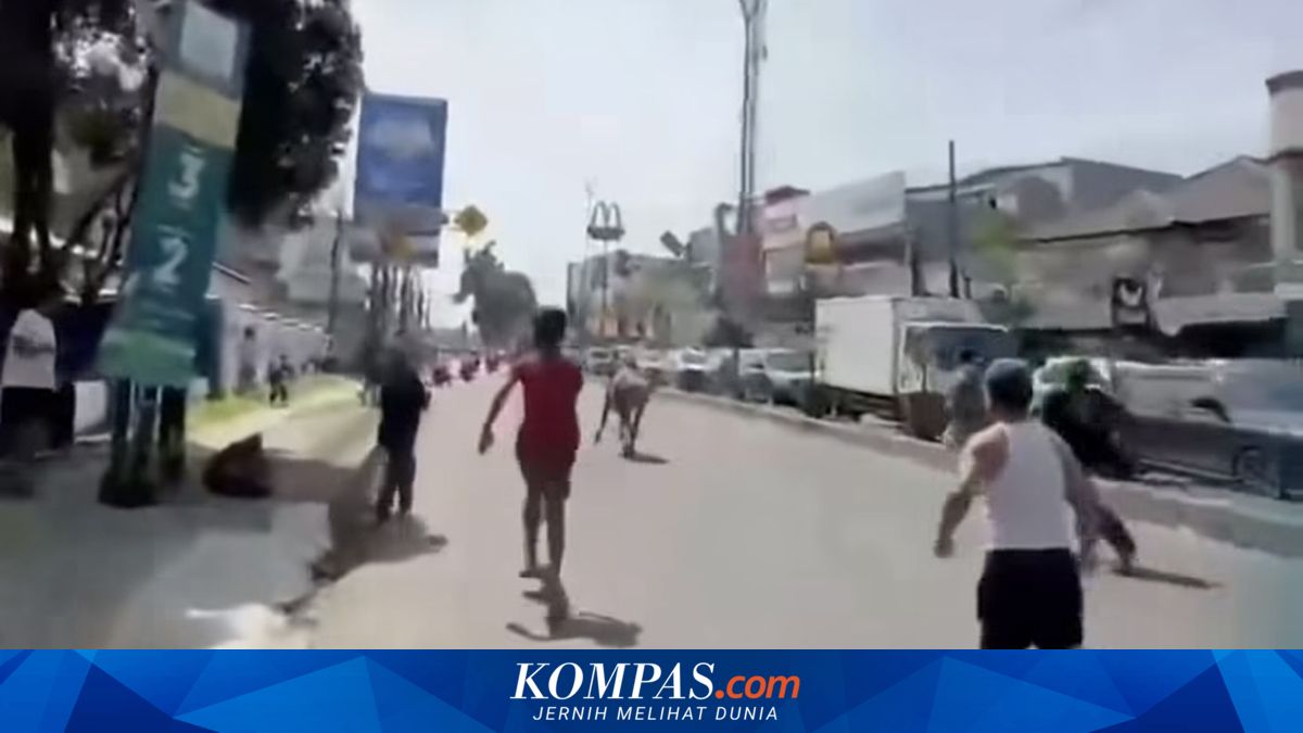 Sacrificial cow escapes and runs onto main road in Ciputat, South Tangerang, residents panic and chase