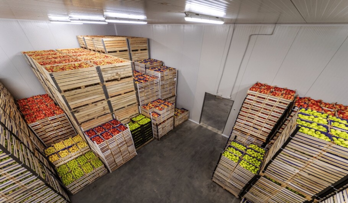 Cold Chain Expansion Continues Amid Purchasing Power Pressures