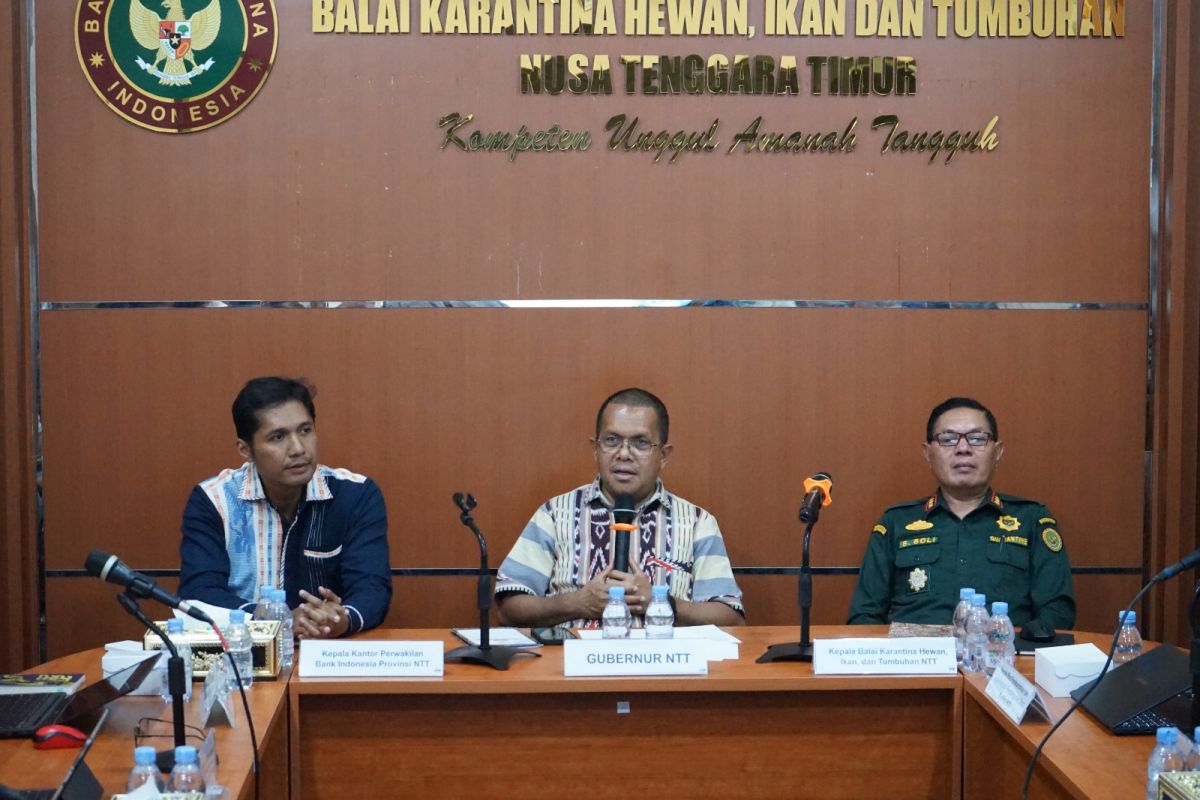 NTT Quarantine: Commodity Traffic Value Reaches Rp2.1 Trillion