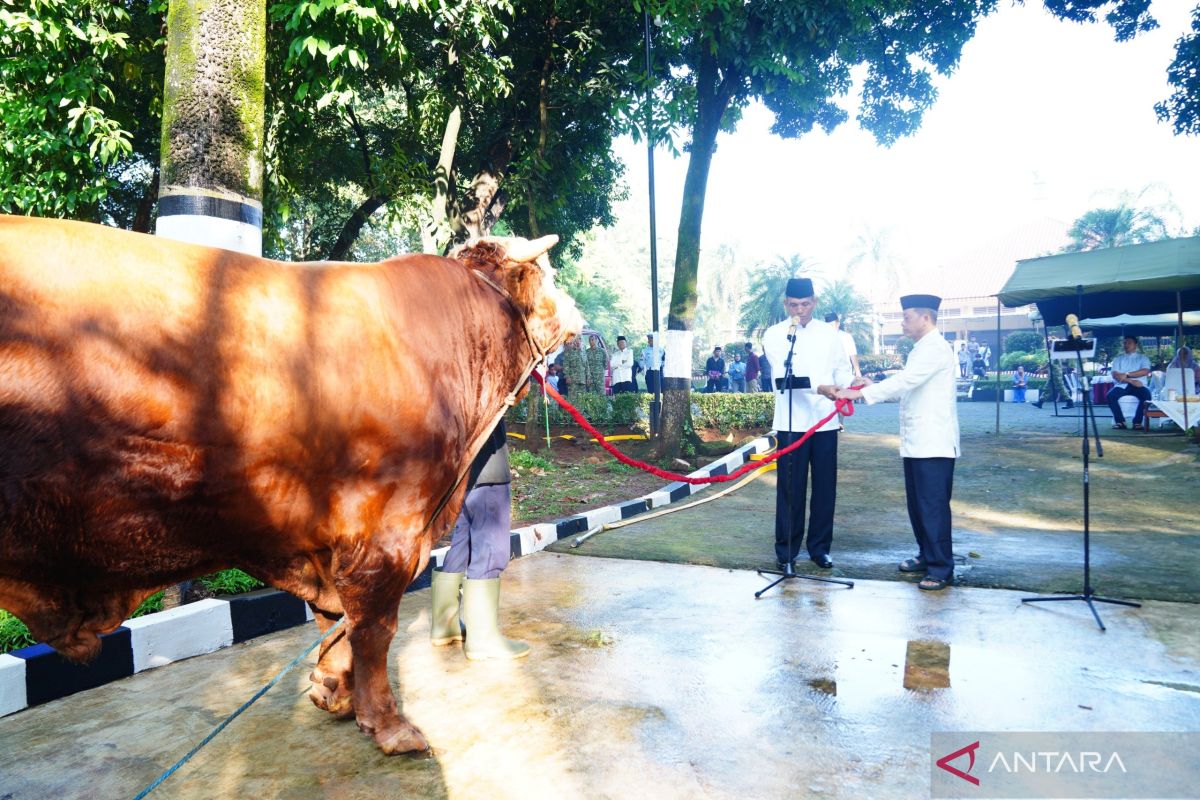 TNI Headquarters holds Eid al-Adha prayer and animal sacrifice