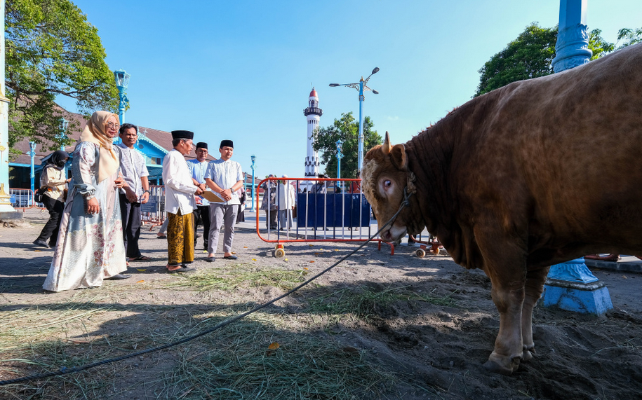 Solo Mayor Expresses Gratitude for President's Eid al-Adha Cattle Donation