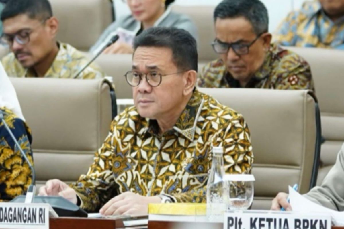Trade Minister strengthens import controls to protect national industry