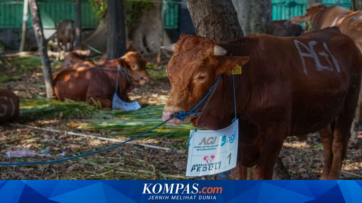 Artha Graha Peduli Distributes Hundreds of Sacrificial Animals Across Indonesia