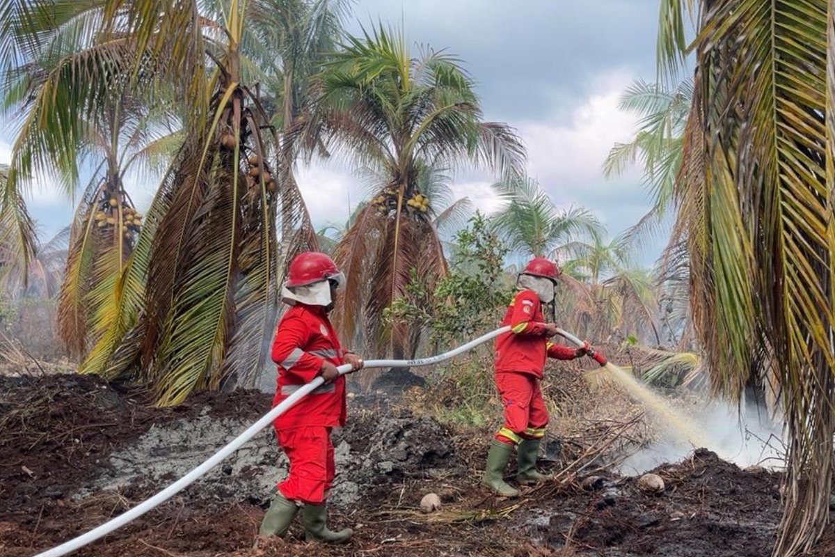 Sumatra Forest and Land Fire Hotspots Increase to 203
