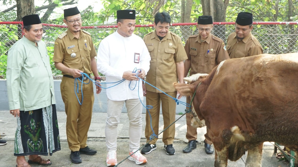 SIG Sources Local SMEs for 292 Sacrificial Animals Across 19 Provinces