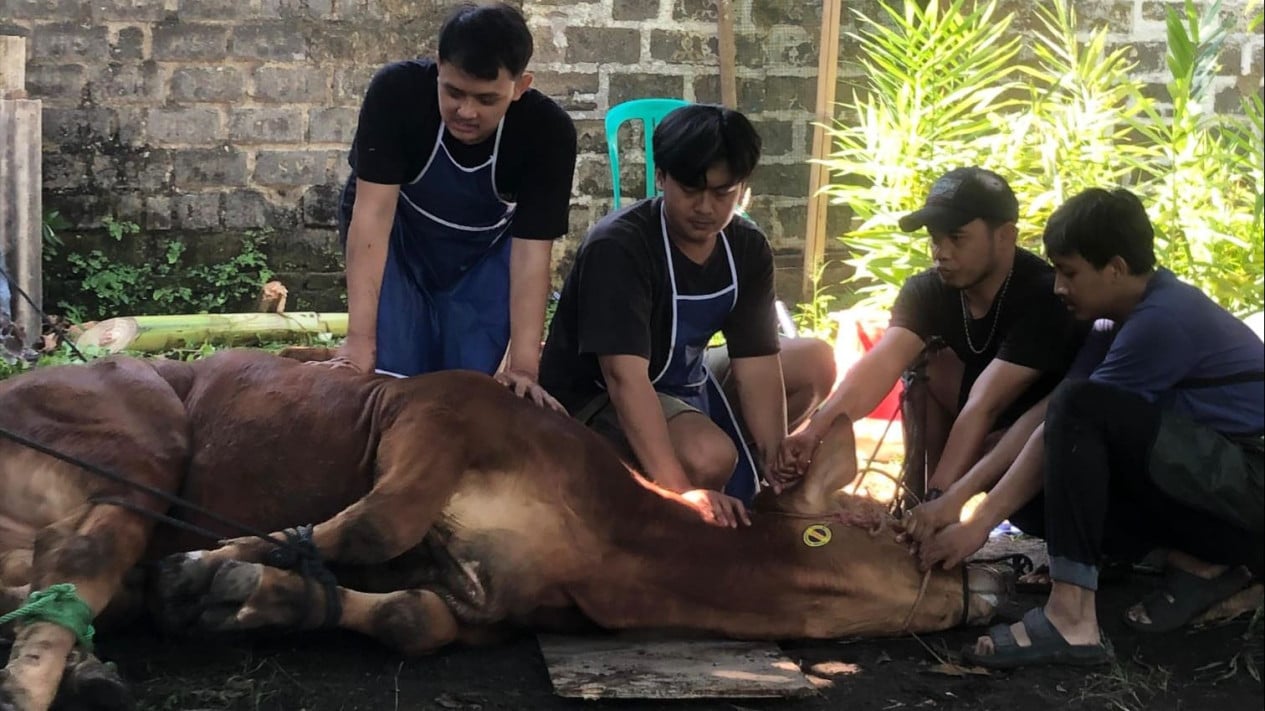 From Skin to Bone: Sacrificial Byproducts Present Lucrative Business Opportunities After Eid al-Adha