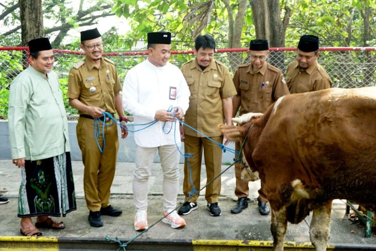 SIG Distributes 292 Sacrificial Animals to Communities Across 19 Provinces