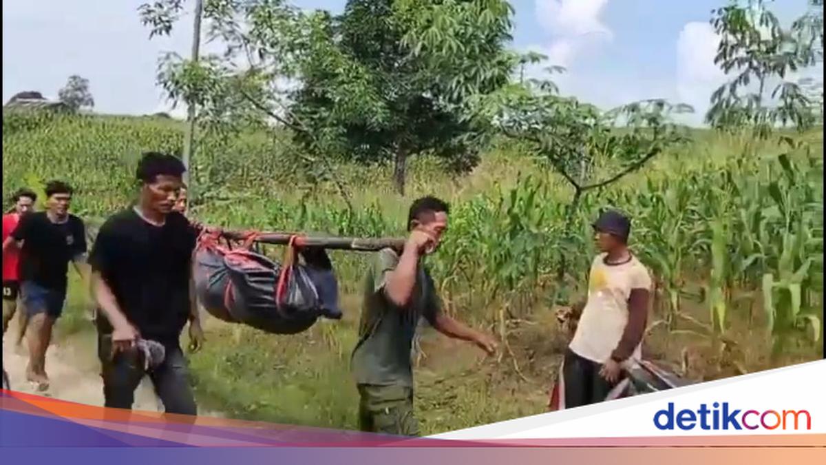 Two Pemalang Boys Drown While Cleaning Animal Offal for Sacrifice