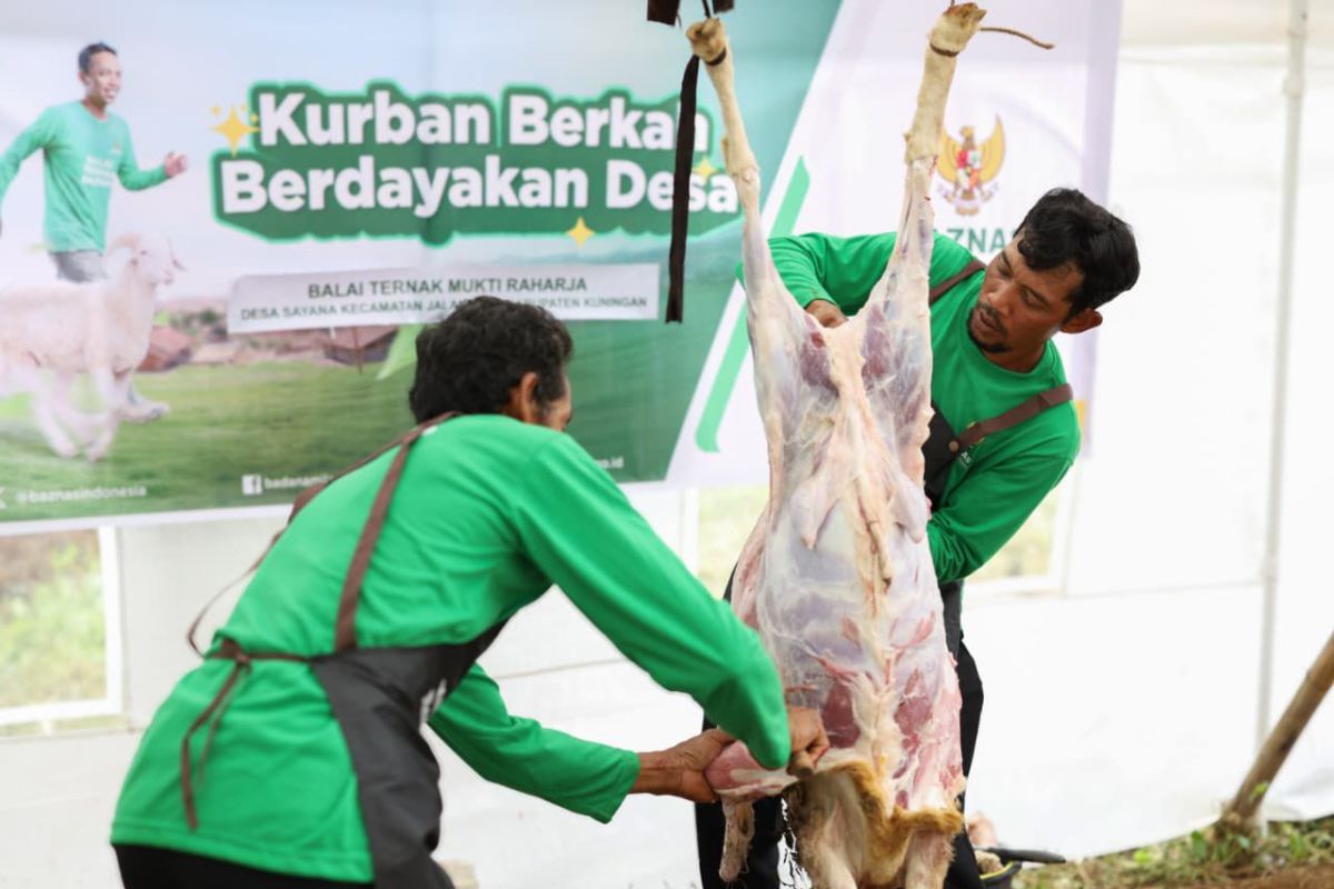 Baznas Kurban initiative empowers 2,089 needy livestock farmers across 15 provinces