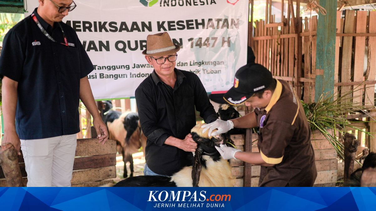 SIG Distributes 292 Sacrificial Animals Across 19 Provinces, Engages Local SMEs