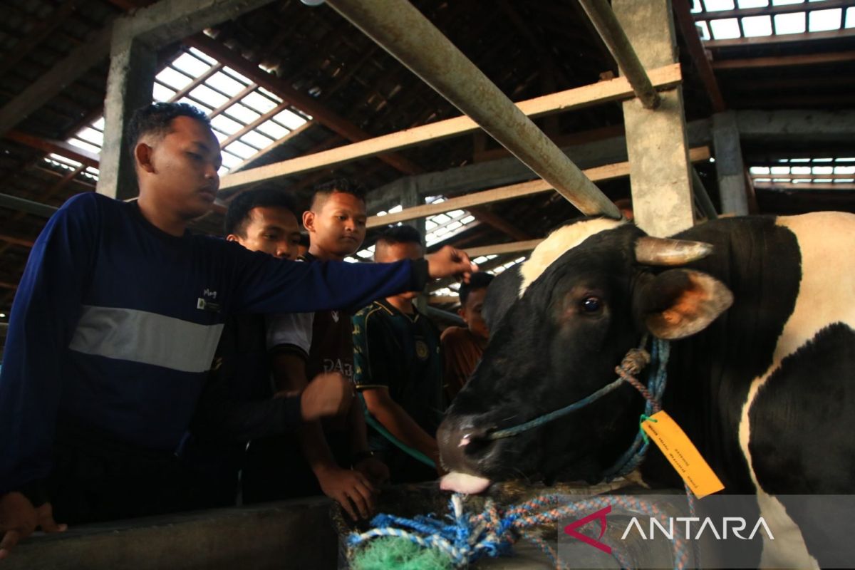 Prabowo distributes 910kg sacrificial cow amid floods in Gorontalo Utara's indigenous communities