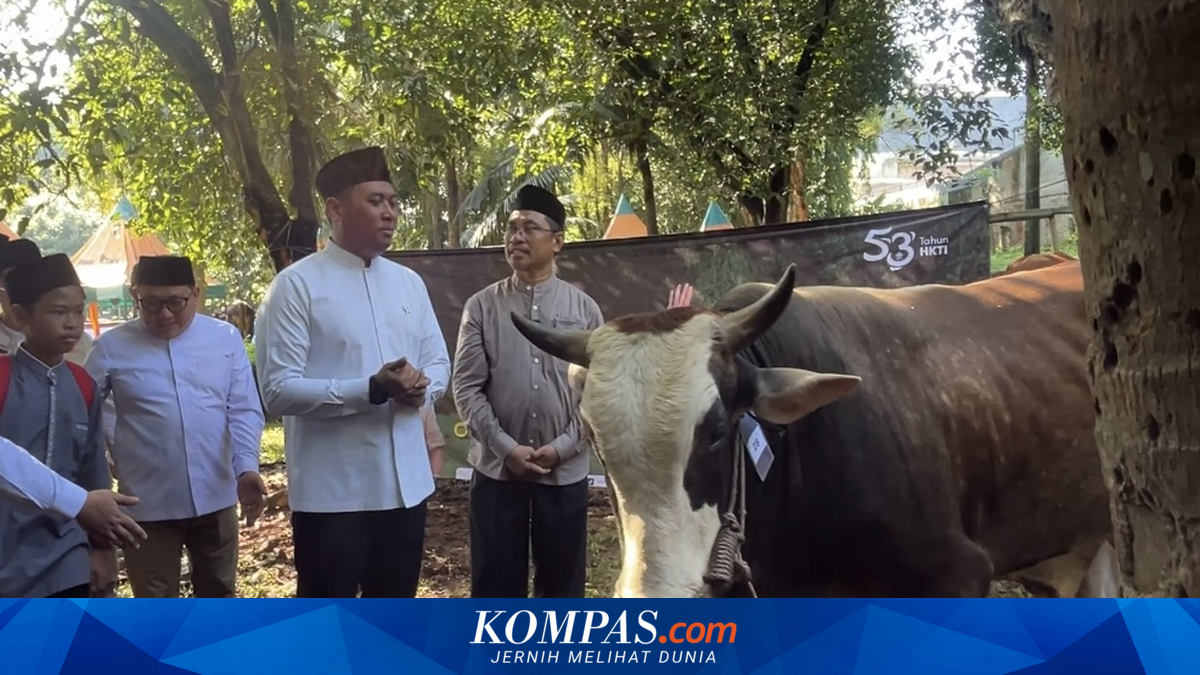 Deputy Agriculture Minister: Indonesia Surplus of 800,000 Sacrificial Animals for Eid al-Adha