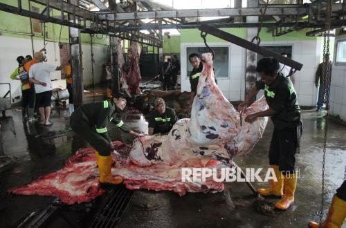 President Distributes 1,098 Qurban Cattle, DPR Confirms APBN Compliance