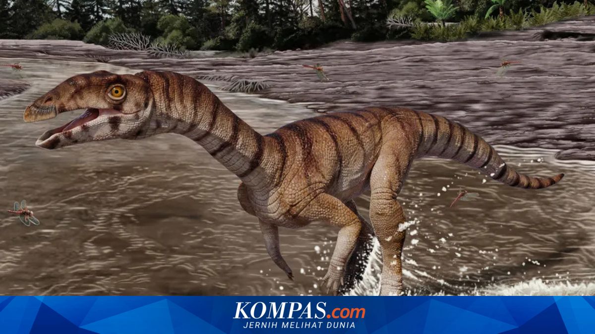 212-Million-Year-Old Crocodile Ancestor Discovered with Beak but No Teeth