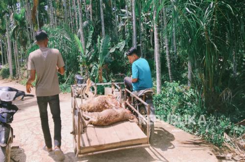 Dompet Dhuafa Aceh distributes sacrificial meat to 800 flood survivors in Sawang
