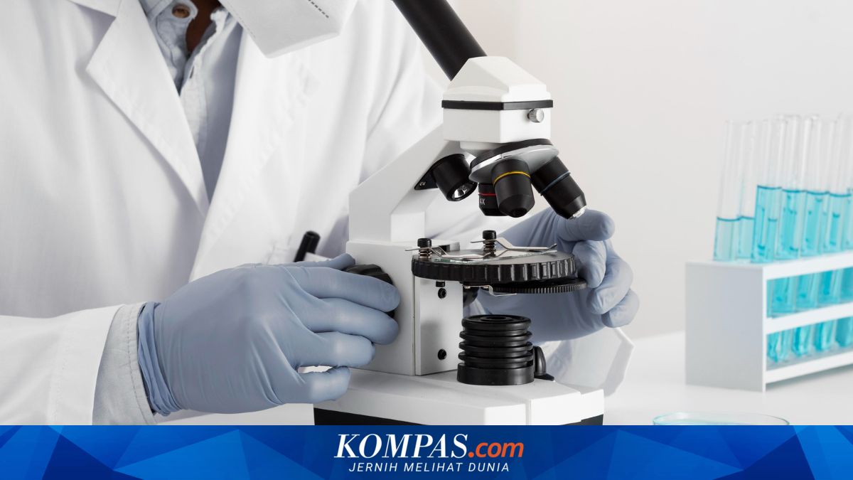 Research Fabrication Case Sparks Concerns Over Indonesian Researchers' International Reputation