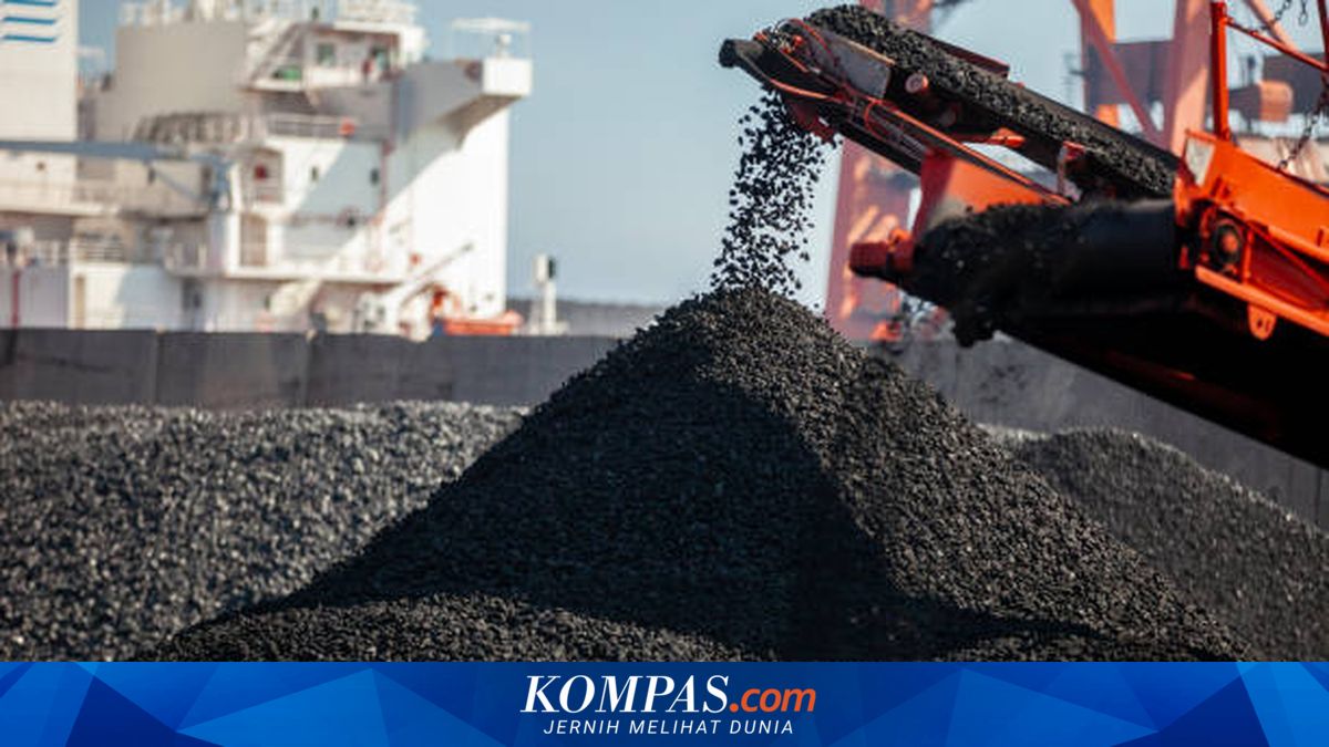 Expert says PT DSI can prevent under-invoicing in commodity exports