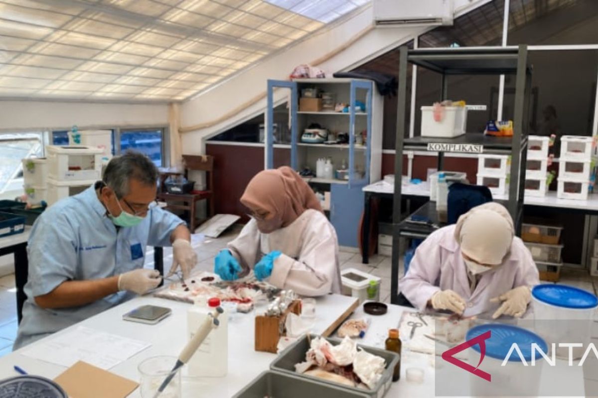 UNAND studies local plants' potential for diabetes and hypertension treatments