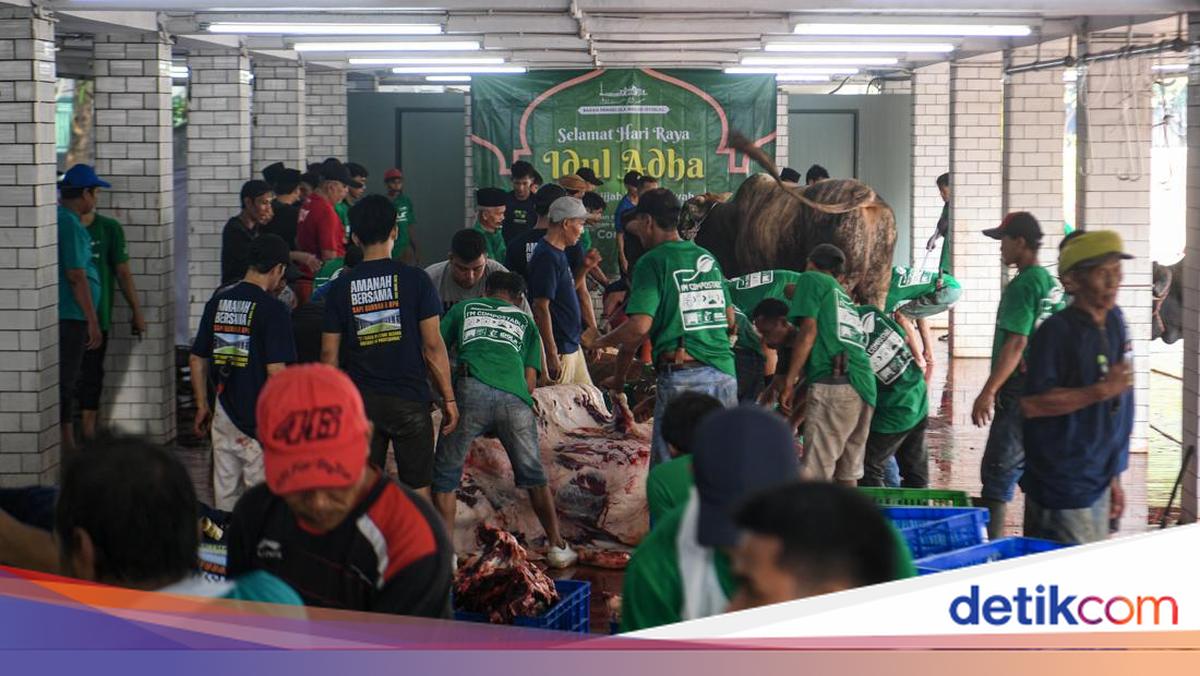 Istiqlal Mosque to Distribute Sacrificial Meat via Registered Organisations, Not Individuals