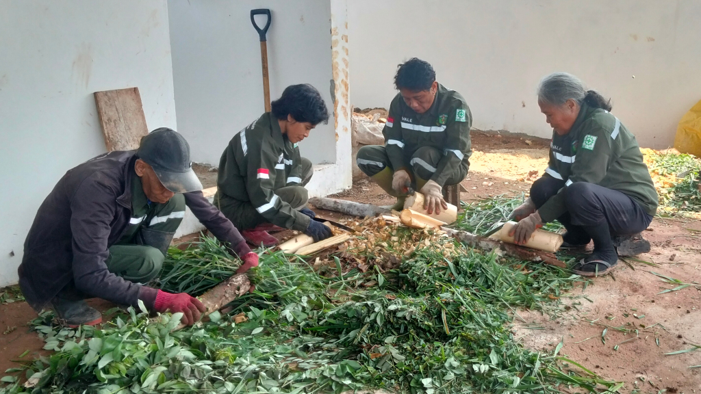 From Fire-Prone Land to a Livelihood-Generating Pineapple Farm
