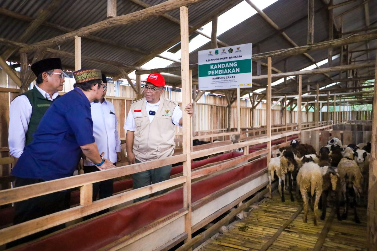 Baznas distributes sacrificial meat across 104 sites nationwide