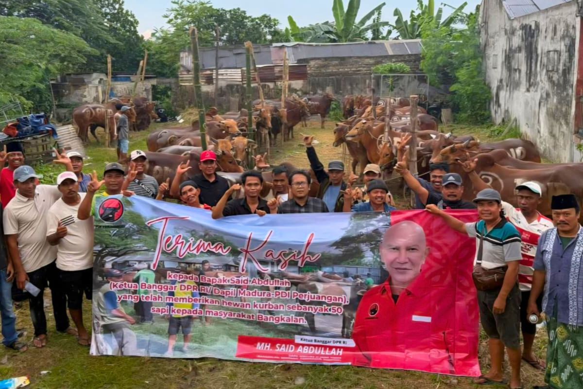 PDI Perjuangan distributes hundreds of sacrificial cows to East Java residents