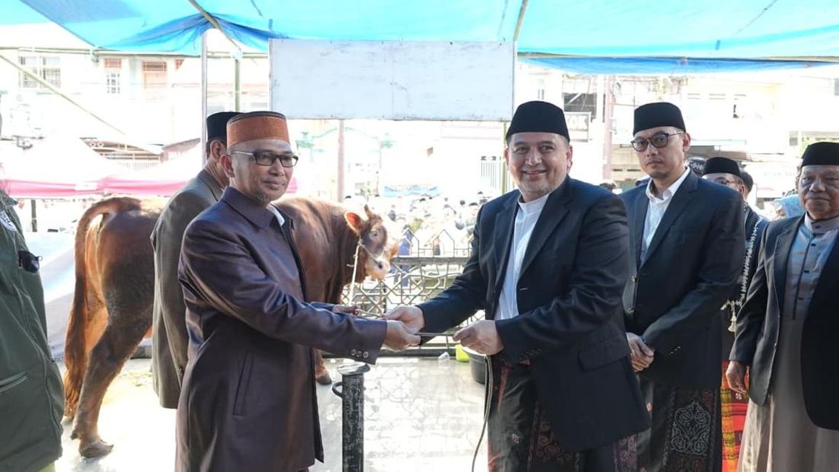Iduladha 2026: Makassar City Distributes 7,261 Cattle and 402 Goats