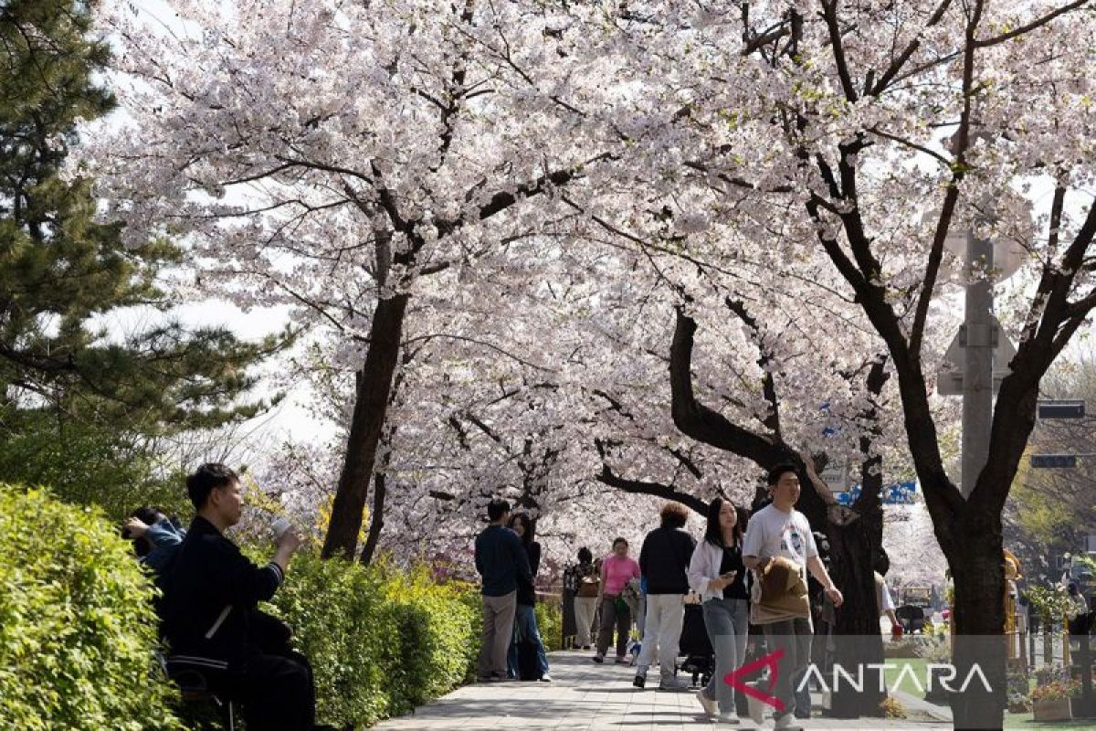 South Korea introduces temporary visa waiver for Indonesian tourists