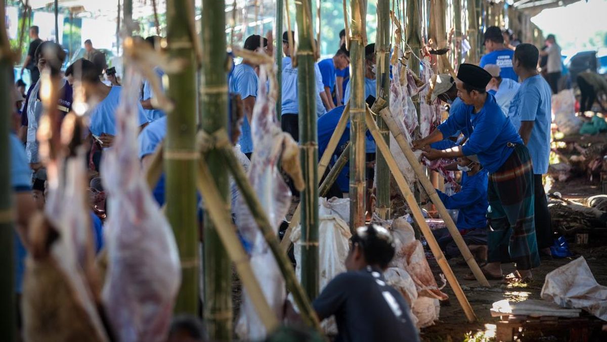 Serang Regency Government Sacrifices 1,000 Goats for Distribution to 22,000 Recipients