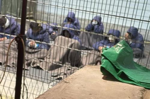 UN Blacklists Israel Over Sexual Violence Allegations