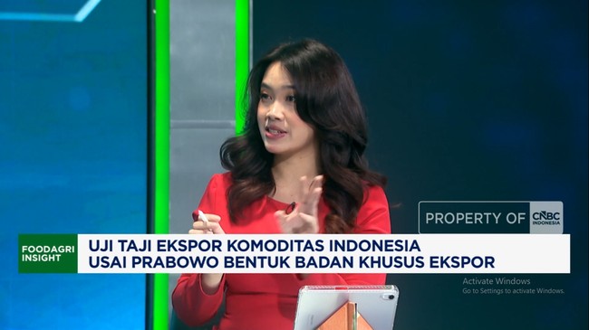 Video: Special Export BUMN Established – Indonesia Confident It Can Control Prices?