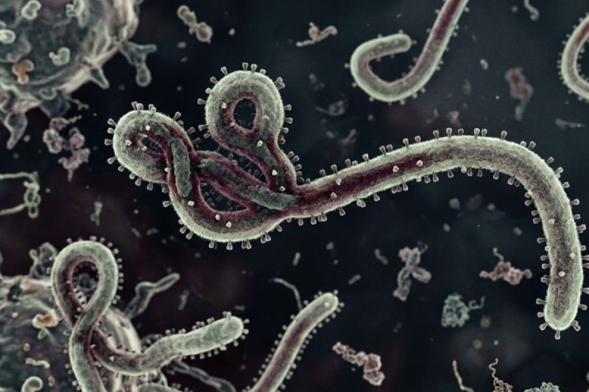 Ebola resurgence prompts call for vigilance