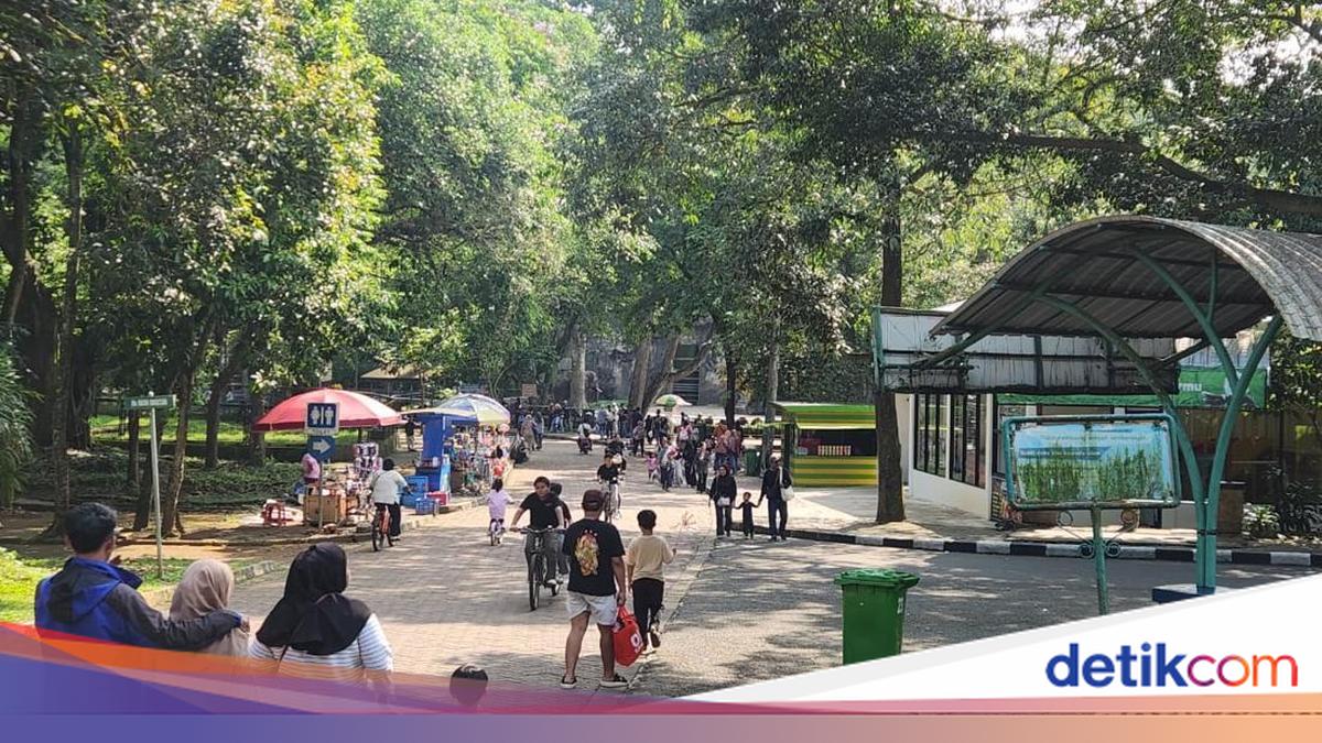 Eid al-Adha Shared Leave Draws 16,000 Visitors to Ragunan Zoo